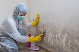 Best Asbestos and Lead Testing During Mold Inspection  in Paradise, CA